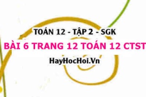 Bài 6 trang 12 Toán 12 tập 2 Chân trời sáng tạo